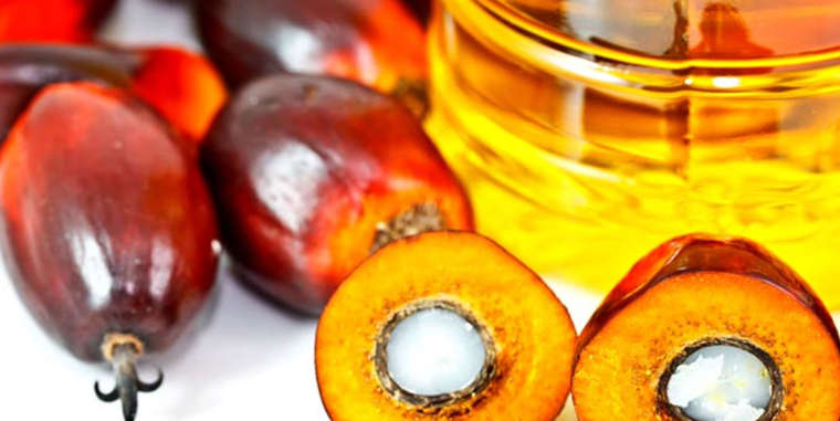 Olio di palma, verità e bugie